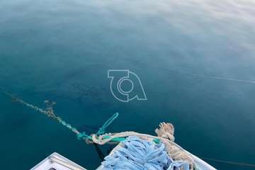 Una manta 'atraca' en el muelle de Taliarte (Foto cedida por Francisca Alonso)